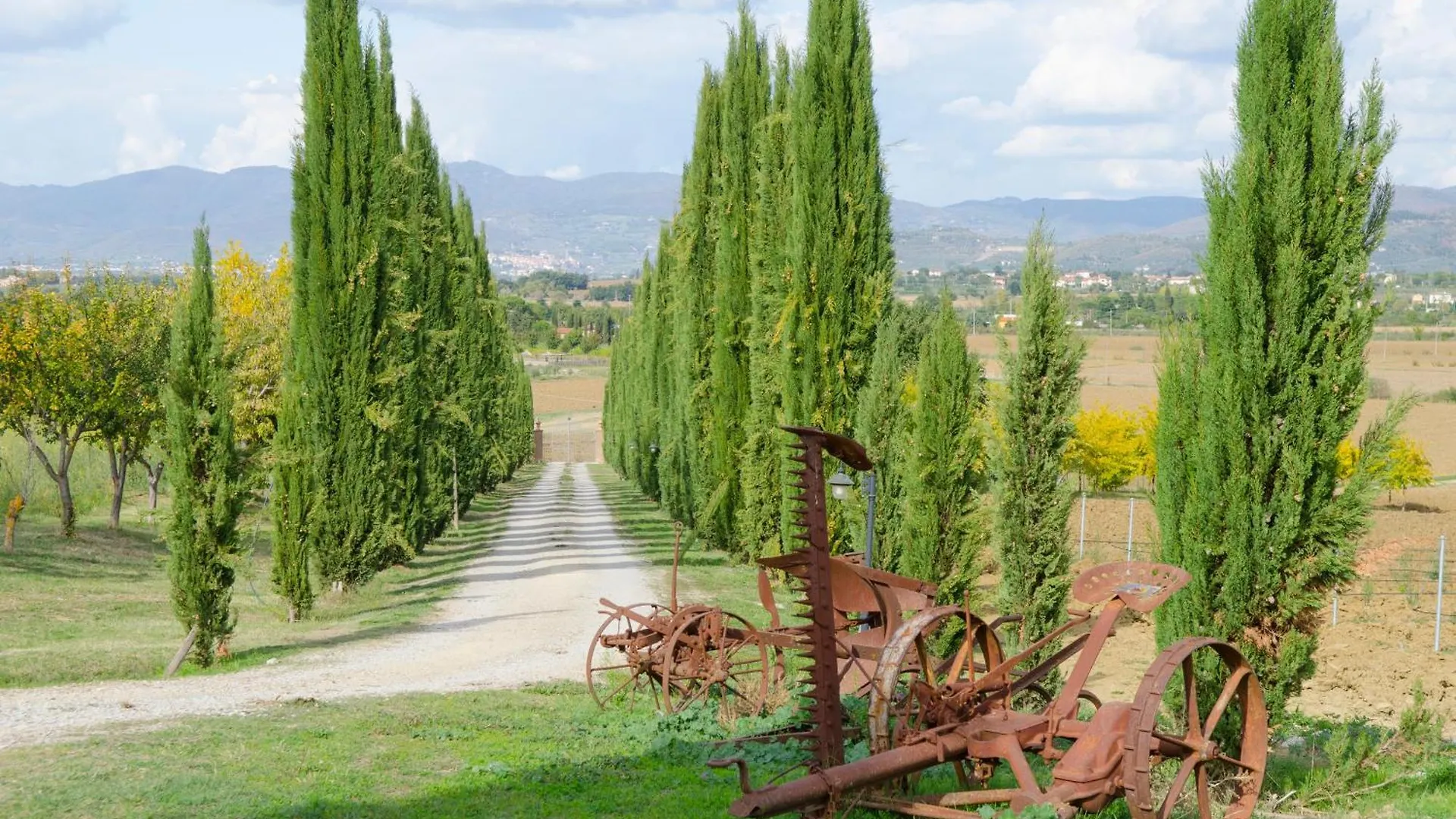 Villa Ludovica By Mmega Cortona